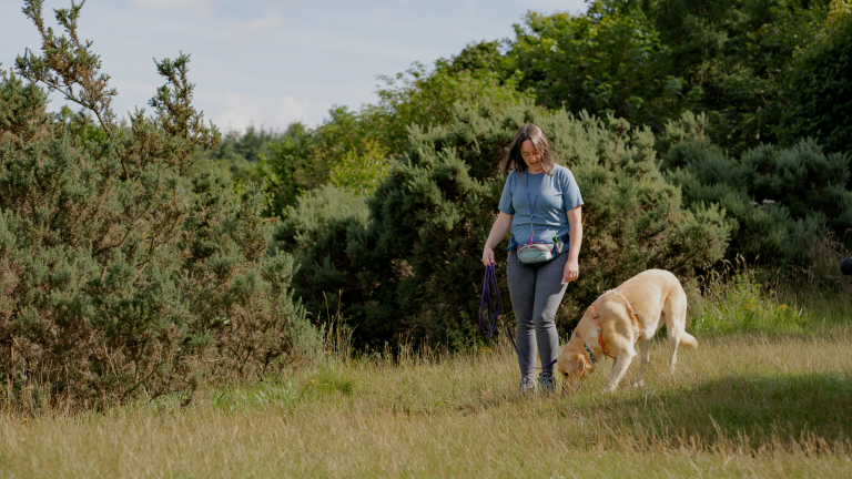 This Sniffing Style Makes Your Dog’s Pulling Worse