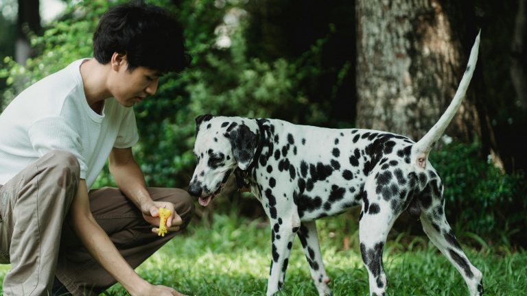 Why I Teach Dogs ‘Useless’ Tricks (And You Should Too)