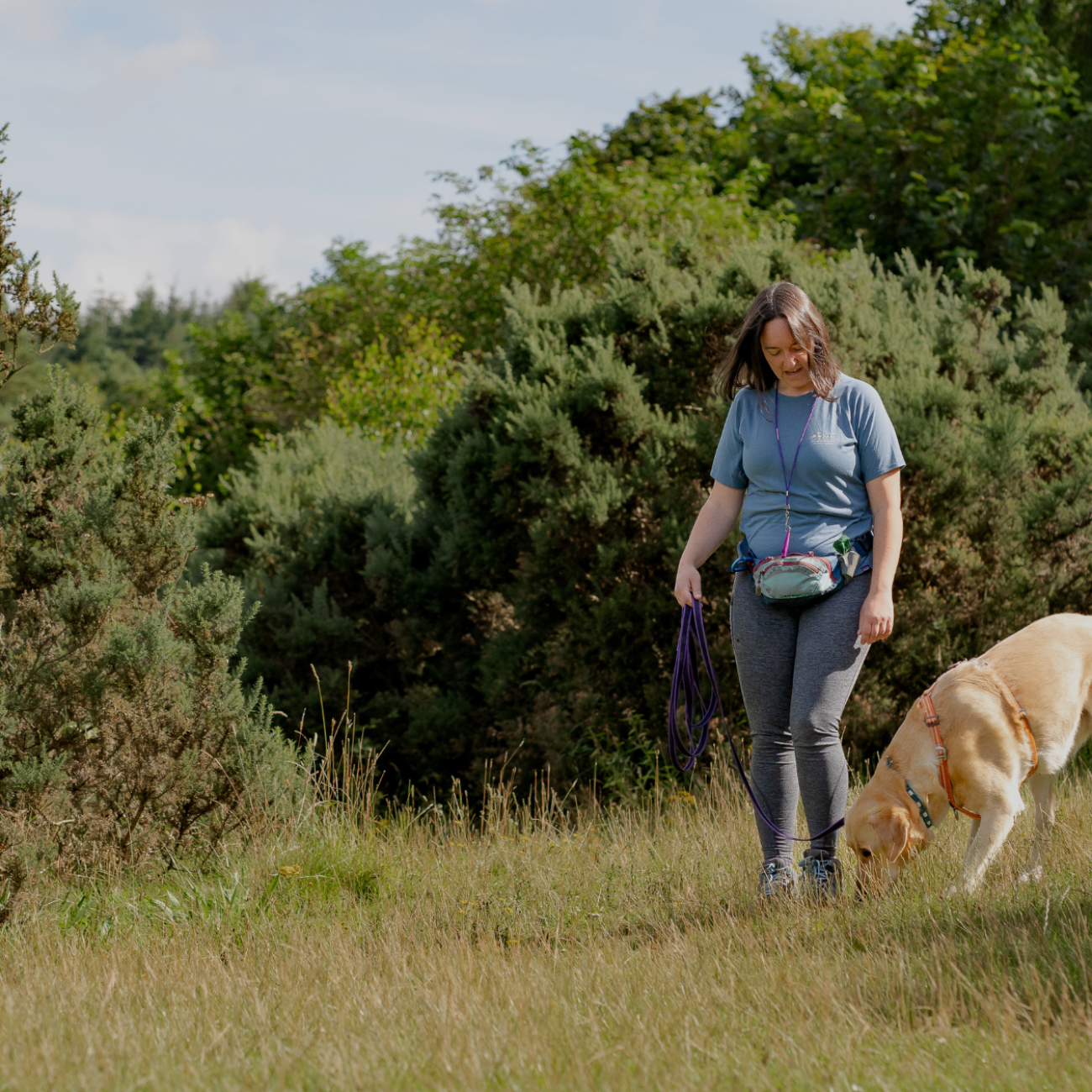 This Sniffing Style Makes Your Dog’s Pulling Worse
